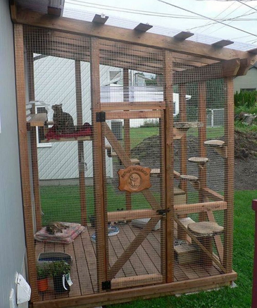 14 Great DIY Catio Plans & Ideas - Pro Tool Guide
