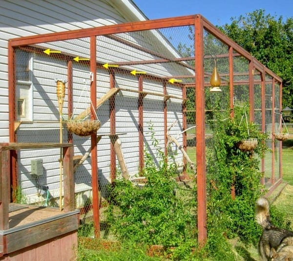 14 Great DIY Catio Plans & Ideas - Pro Tool Guide