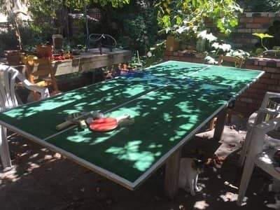 DIY Ping-Pong Table Under $100