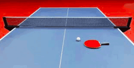 Inexpensive DIY Ping-Pong Table Idea