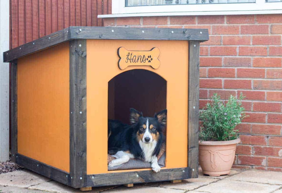 Plywood Dog Kennel With Detachable Roof