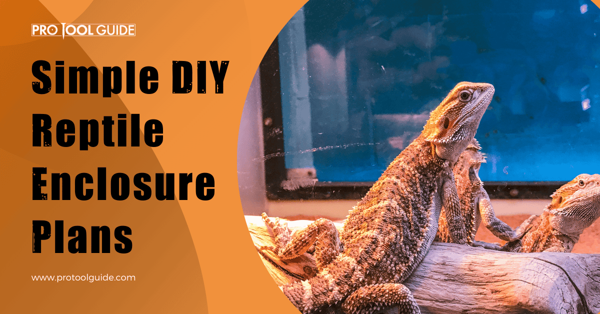diy reptile enclosure plans