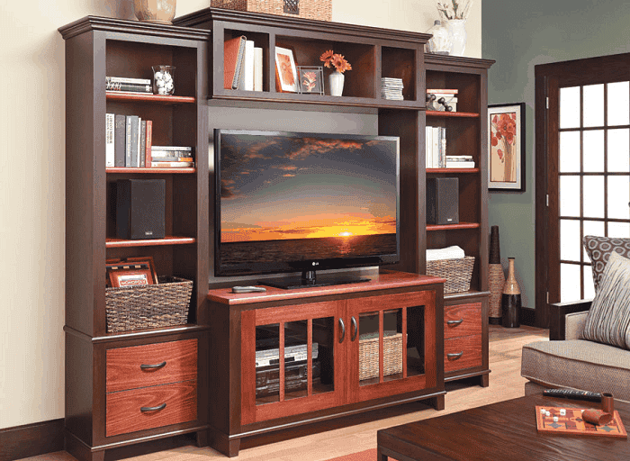 The Flatscreen T.V. Center Idea