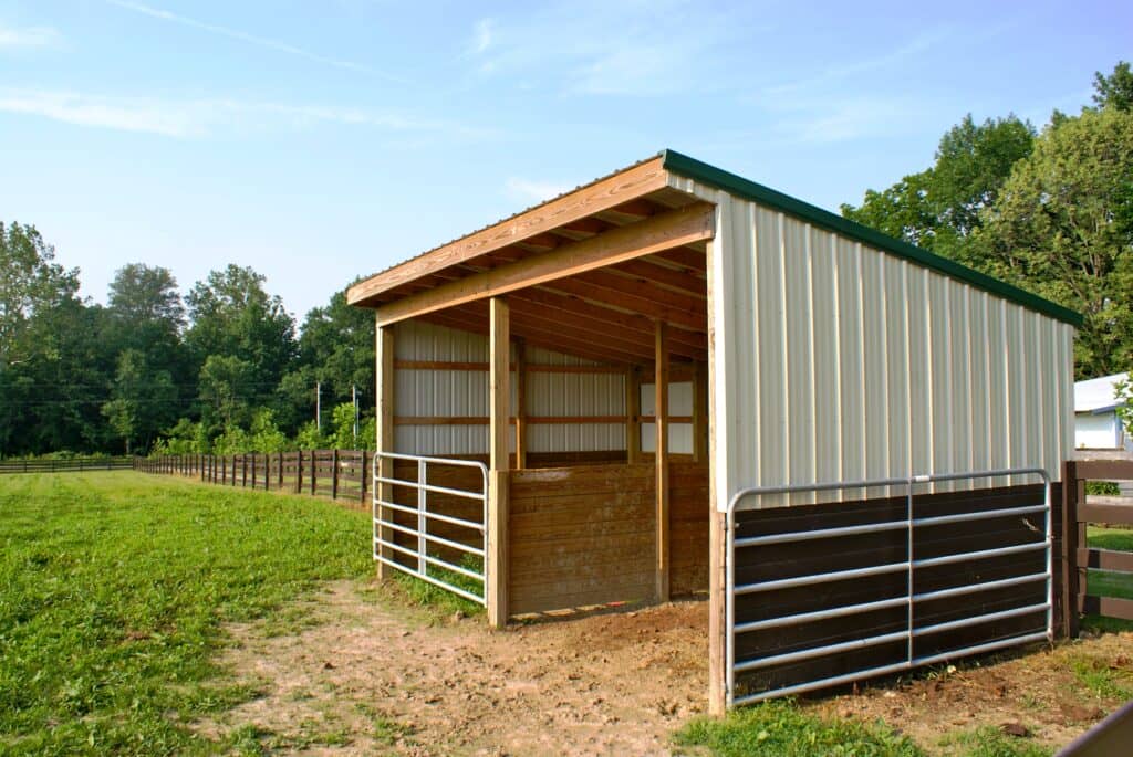 Run-in shed with two stalls