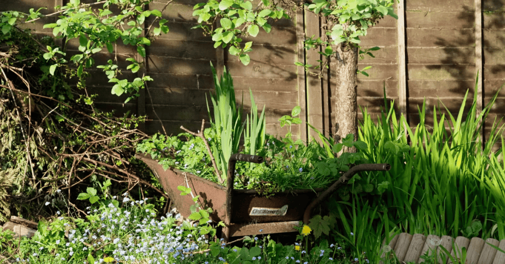 Cot-Styled Wheelbarrow Planter