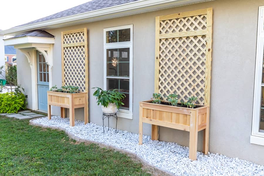 Raised Planter Box with Back Trellis