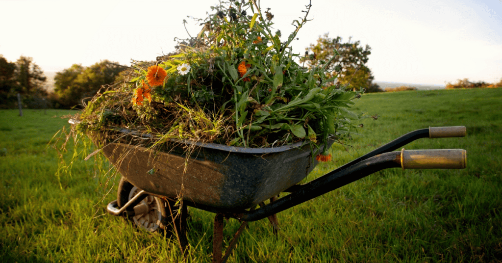 The Overflowing Barrow Planter