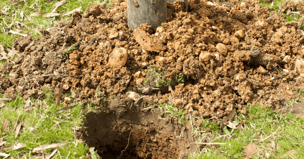 Digging the Post Out by Hand