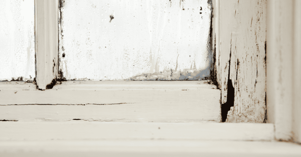 Steps to Fix or Replace Rotten Window