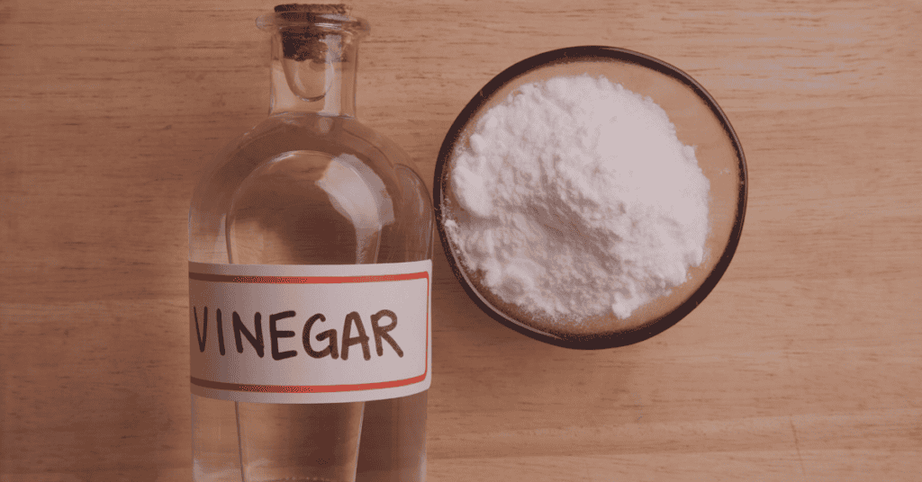 Vinegar and Steel Wool Pad