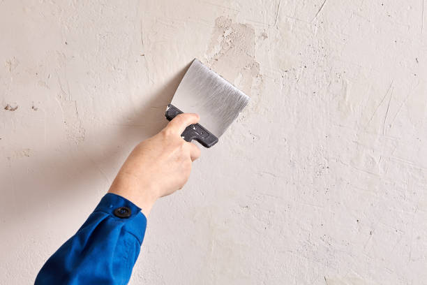 Wood Filler Vs Spackle: Which is Best For You - Pro Tool Guide