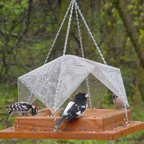 Hanging Feeder