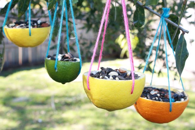 19 Eye Catchy Free Diy Bird Feeders Plans And Ideas