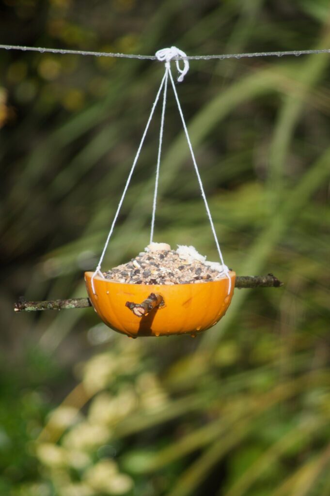 19 Eye-Catchy Free DIY Bird Feeders Plans and Ideas