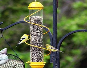 19 Eye-Catchy Free DIY Bird Feeders Plans and Ideas