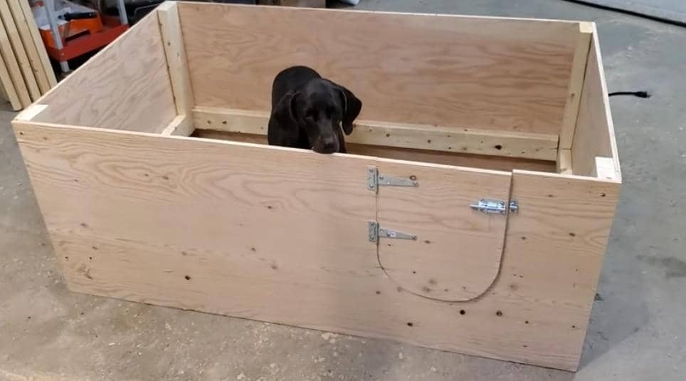 DIY Whelping Box for Small Dogs