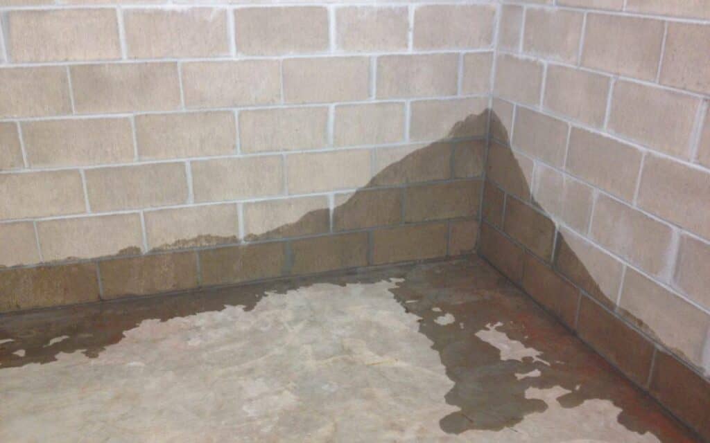 Inspect Basement Wall for Damages