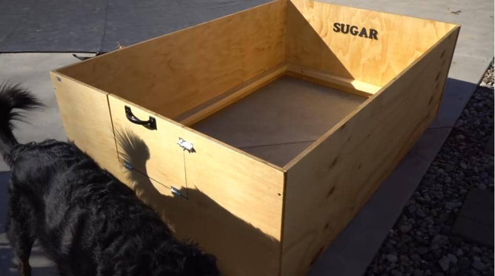 Secure Whelping Box With a Clean Design