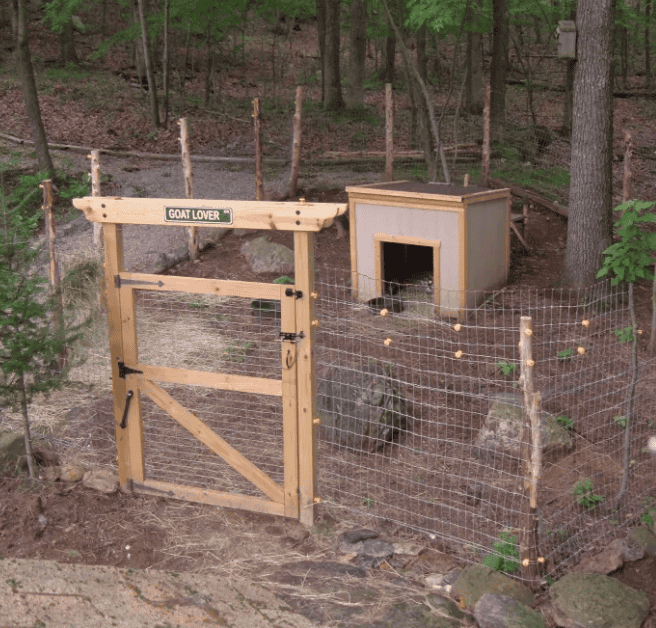Large Wired Goat Pen