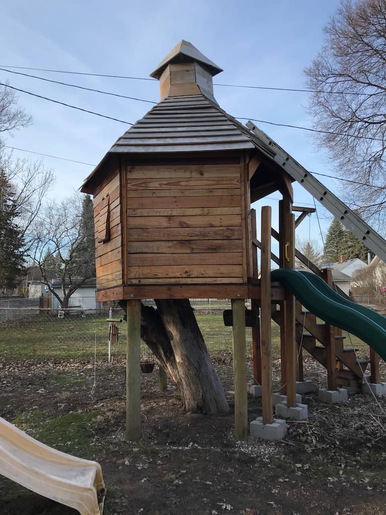 Treehouse Cupola