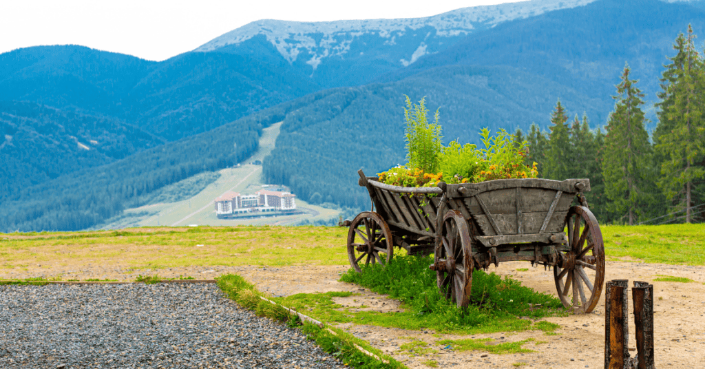 Rustic Wood Planter with No Legs